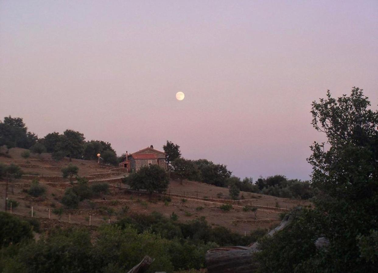 Toumba Eco Farm Guesthouses Plomari Exterior photo