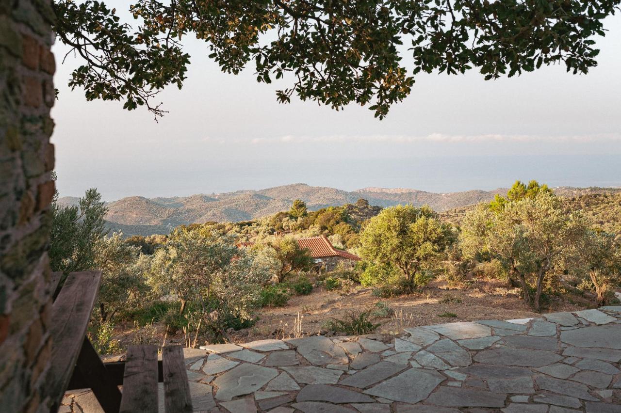 Toumba Eco Farm Guesthouses Plomari Exterior photo